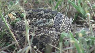 TERMÉSZETVÉDELMI KÖRKÉP