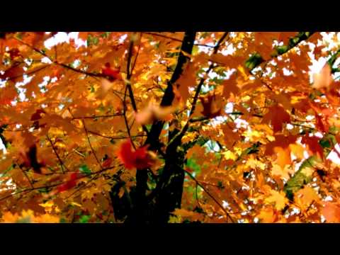 Power Meditation: What are we