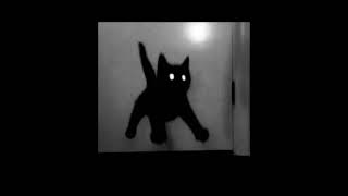 Shut Me Up | MSI [looped]