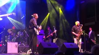 Tom Lavin &The Legendary Powder Blues Band