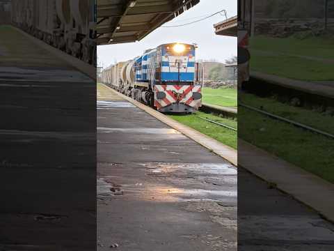 tren 119 a cargo de la EMD GT22CW 9003 pasando por la estación de Azul #railway #trenesargentinos