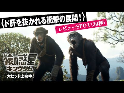 レビューSPOT〈ド肝を抜かれる衝撃の展開！〉（30秒）