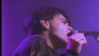 The Wedding Present - I'm Not Always So Stupid (Live)