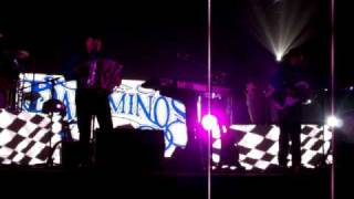 Los Palominos - Mis Dos Amores Live