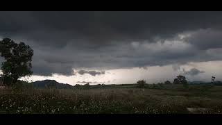 Trời bỗng hóa mưa giông.