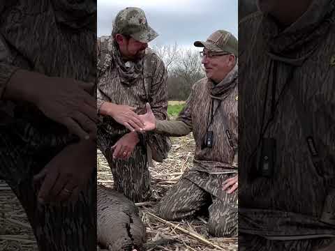 Episode 61 Science-base Solutions for Long-term Sustainability