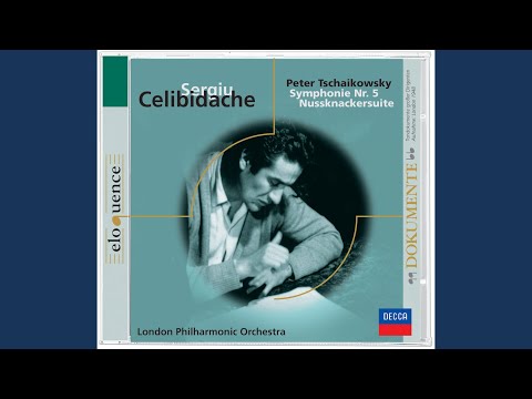Tchaikovsky: Symphony No. 5 in E Minor, Op. 64, TH 29: I. Andante - Allegro con anima