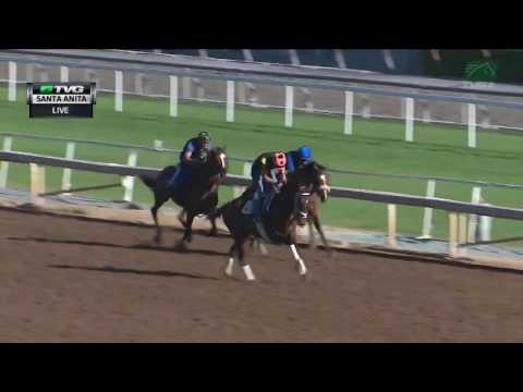 WORKOUT/ANALYSIS: Gormley (4/29/17)