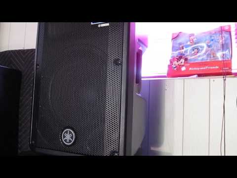 Обзор акустической системы Yamaha DBR12