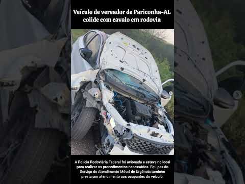Carro de vereador de Pariconha colide com cavalo em rodovia de AL