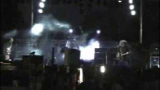 Melvins - The Fool, The Meddling Idiot