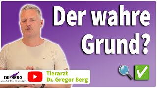 ❗Übergewicht bei Mensch & Tier – Warum Essen allein nicht das Problem ist I Tierarzt Dr. Gregor Berg