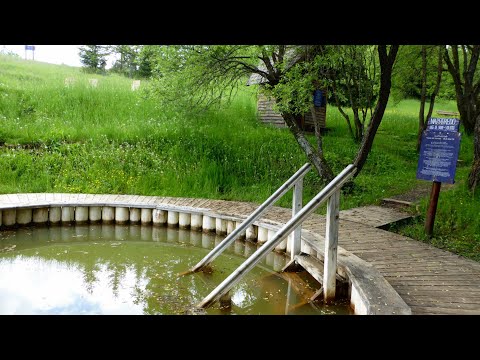 Poiana Zânelor (Borsec, Transilvania, România)