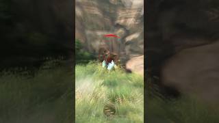 Cabelas African Adventures First #cabelas #shortsfeed #gaming #gameplay #games #shorts #shortsfeed