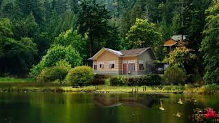 Download lagu Sakit Dalam Bercinta  ||| Download Mp3 Link Deskripsi mp3