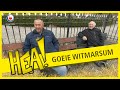 HEA! Goeie Witmarsum