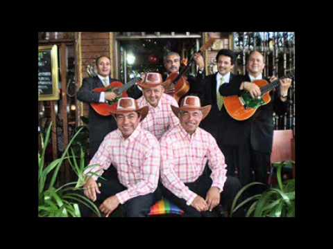 EL CAMPESINO SALSISTA LOS ALEGRES CORDILLERA