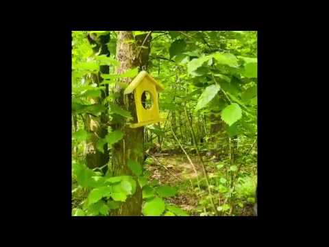 Obrazek poglądowy filmu YouTube