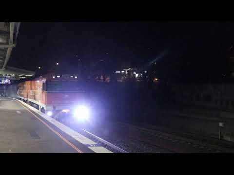 6AT8 'Great Southern' through Beecroft 7/12/19