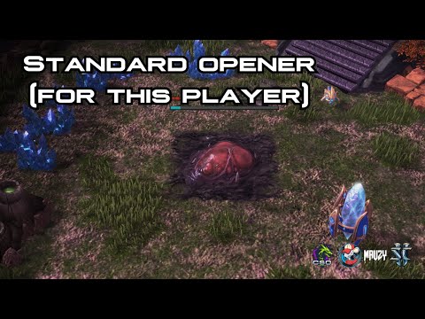 RECOMMENDED: TRADEMARK BLY BUILDS with STRANGE responses -  Bly (Z) vs Strange (P) - Starcraft 2