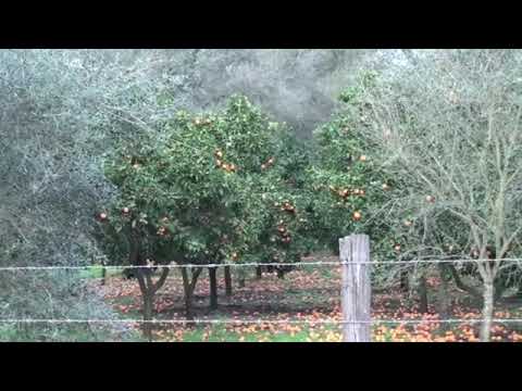 Back to Rosarno EN, 13 02 2010