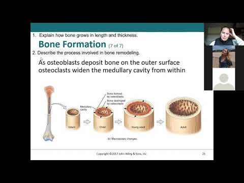 BIOS 112 Review Session 10/21/2020 3PM