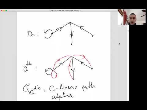 Emanuel Diaconescu - McKay correspondence and cohomological Hall algebras