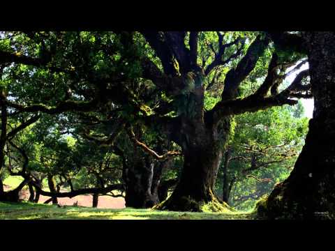 SLudger - Number Eight