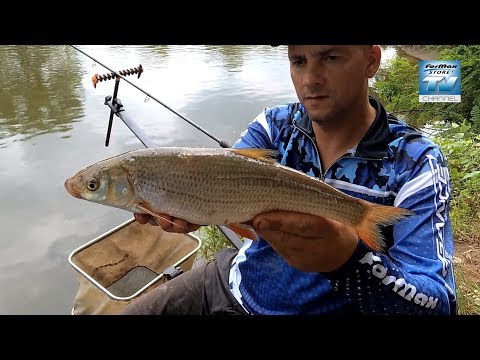 UŽIVO SA VODE: lov skobalja feederom na Zapadnoj Moravi sa Darkom Todosijevićem