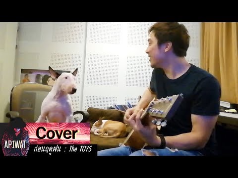คลิกเพื่อดูคลิปวิดีโอ