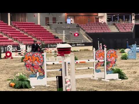 Saga V/D Voortakker horse shows