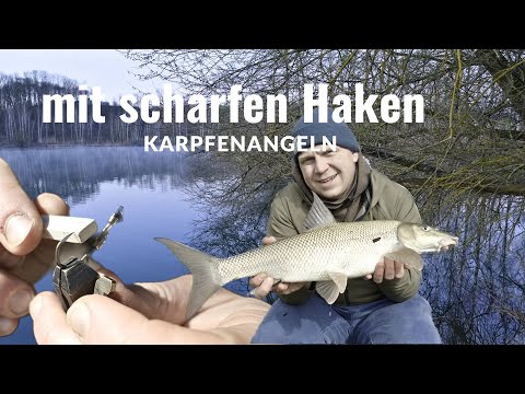 Karpfenangeln am Fluss im April