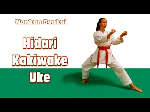 DrobyshevskyKarateSystem:Wankan-Combat Bunkai-1-Hidari Kakiwake Uke-Qinna Weapon Disarm
