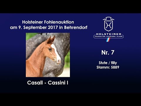 Nr. 7 v. Casall - Cassini I