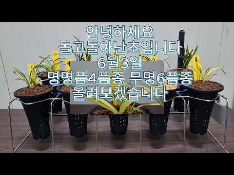 유튜브 썸네일