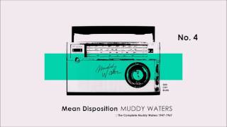 #4 Muddy Waters - Mean Disposition