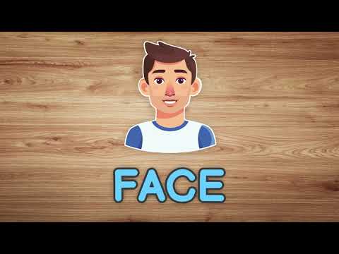 Vocabulary Tutorial - Parts of the Face