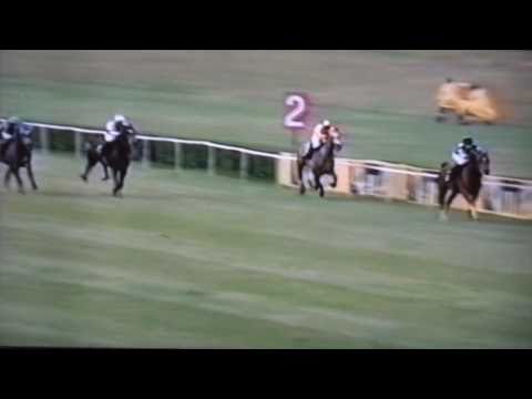 Nagroda Europejczyka - 6.07.2003 - Seliger (Balaton - Greshnica)