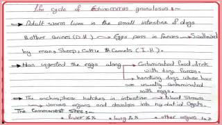 6 Para | cestoda 3 | Dr Mousa