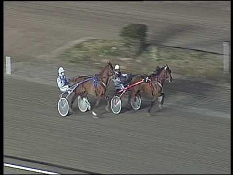 Trotto 24/01/2017 - prova di qualifica