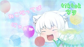 猫なんだにゃ〜♡　【tiktokネタ】