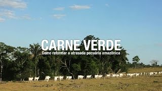 Miniatura do vídeo
