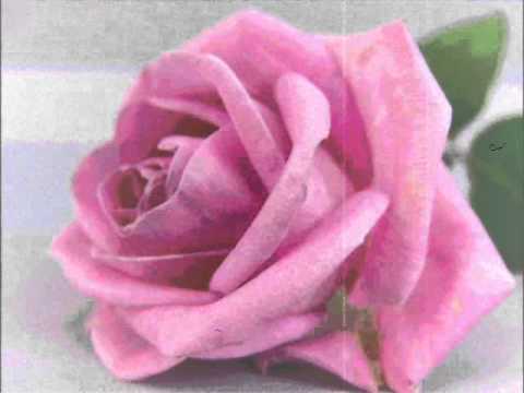 Blue Rodeo ~ Rose Coloured Glasses ڿڰۣ☸ (1987)