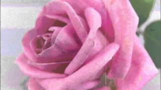 Blue Rodeo ~ Rose Coloured Glasses ڿڰۣ☸ (1987)