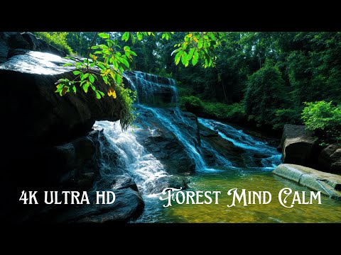 4K Real Nature Waterfall with Natural Sounds | Meditation, Relaxation & Fast Sleep Ambience!