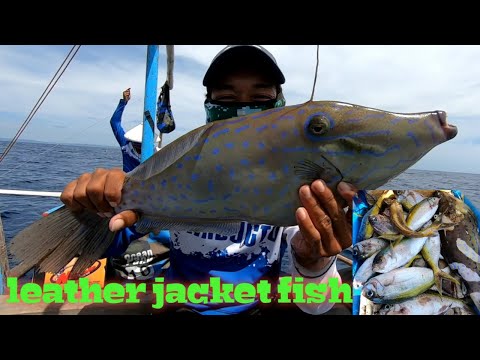 vlog94 - Handline fishing PART 1