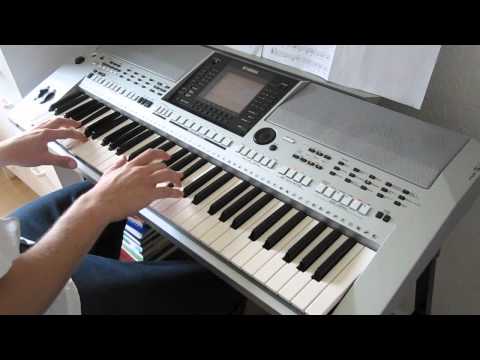 Ved landsbyens gadekær - Yamaha PSR-S900