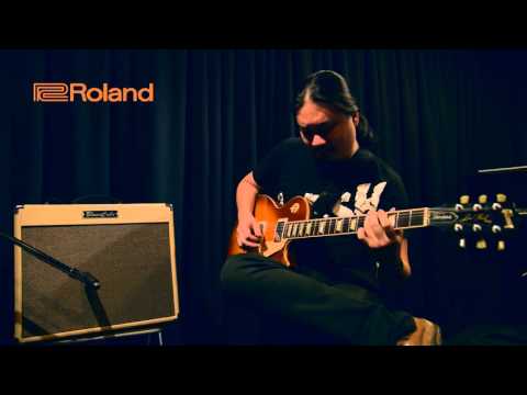 Roland Blues Cube Stage Guitar Amplifier