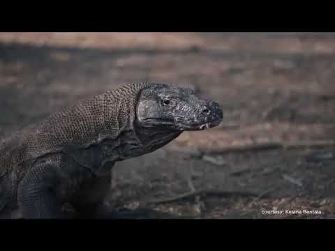 Golo Mori Convention Center