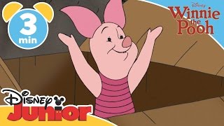 The Mini Adventures of Winnie The Pooh | Piglet&#39;s Bath | Disney Junior UK